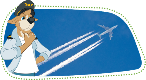 Bernie montre un avion dans le ciel qui produit des traînées de condensation
