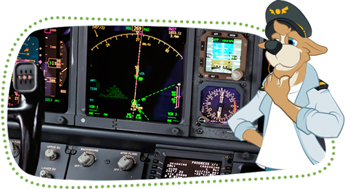 Bernie vor einem Flugzeug-Cockpit, in dem ein Radar und verschiedene andere Instrumente zu sehen sind